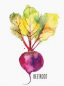 Preview: Geschirrtuch Rote Beete